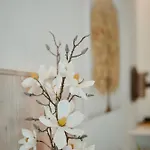 Casa Luxury 的里雅斯特