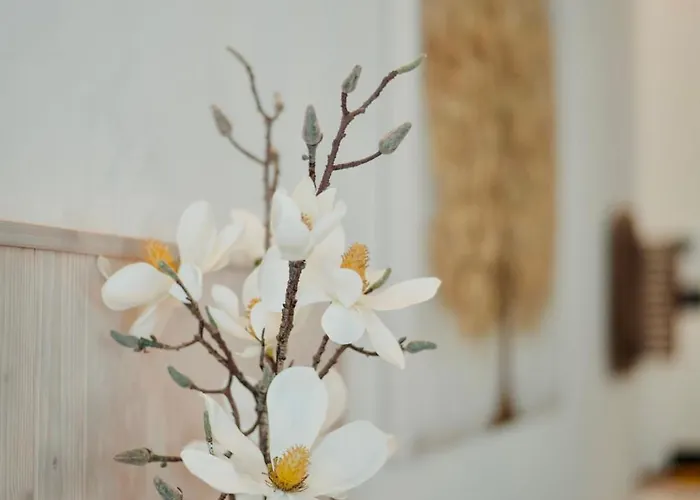 Casa Luxury Τεργέστη